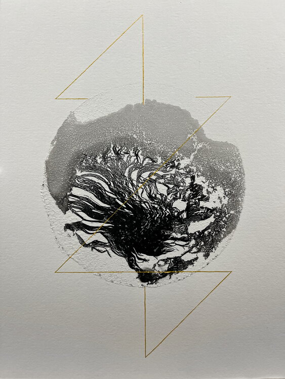 Hydre déliquescente Samuel Salel
