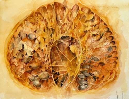 CALABAZA van Nacho Muñoz Cano, Schilderij te koop op Singulart