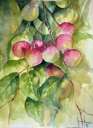 RAMA DE ALBARICOQUES van Nacho Muñoz Cano, Schilderij te koop op Singulart