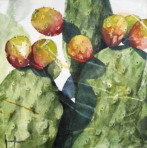 Chumbera 30 x 30 Nacho Muñoz Cano