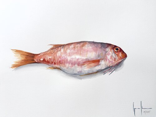 SALMONETE von Nacho Muñoz Cano, Malerei kaufen auf Singulart