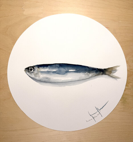 Sardina van Nacho Muñoz Cano, Schilderij te koop op Singulart