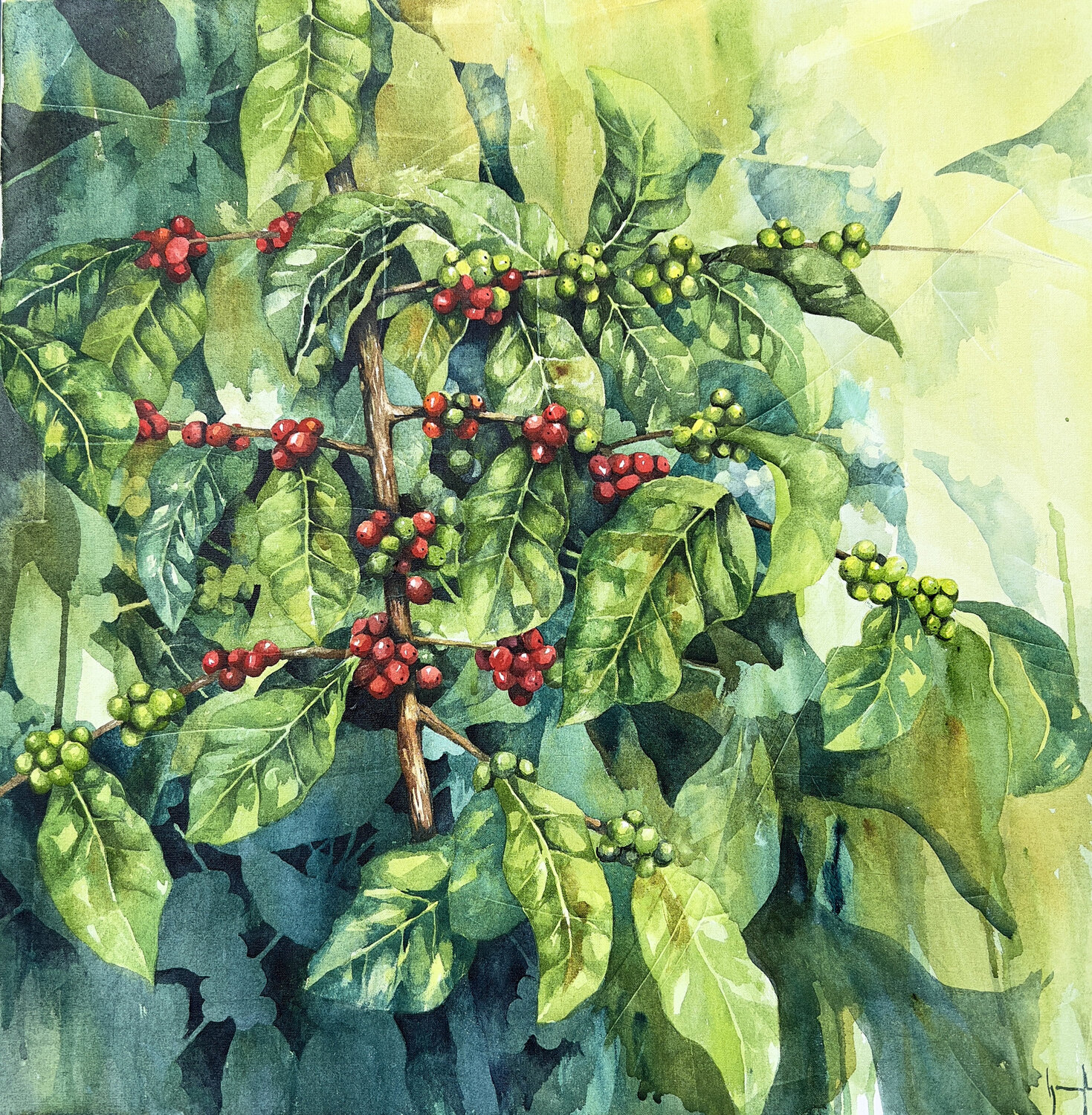 PALO DE CAFE Nacho Muñoz Cano