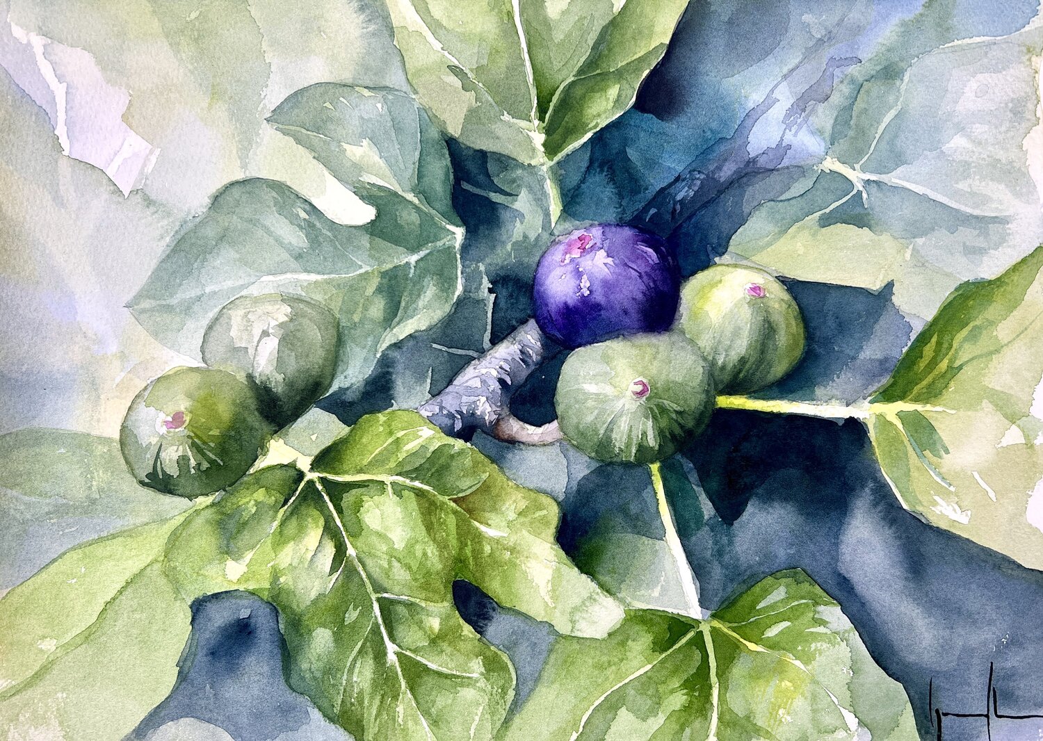 Higuera Nacho Muñoz Cano