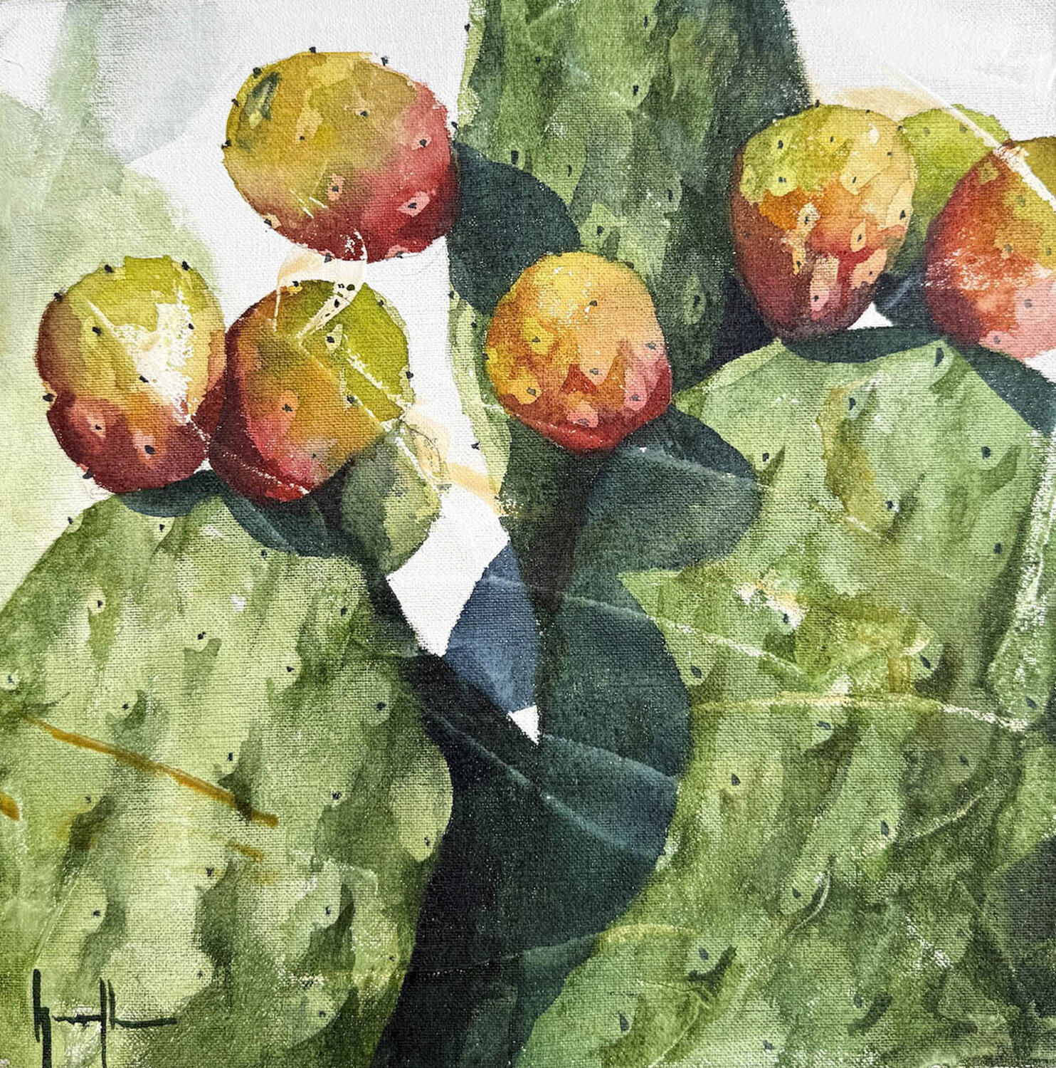 Chumbera 30 x 30 Nacho Muñoz Cano