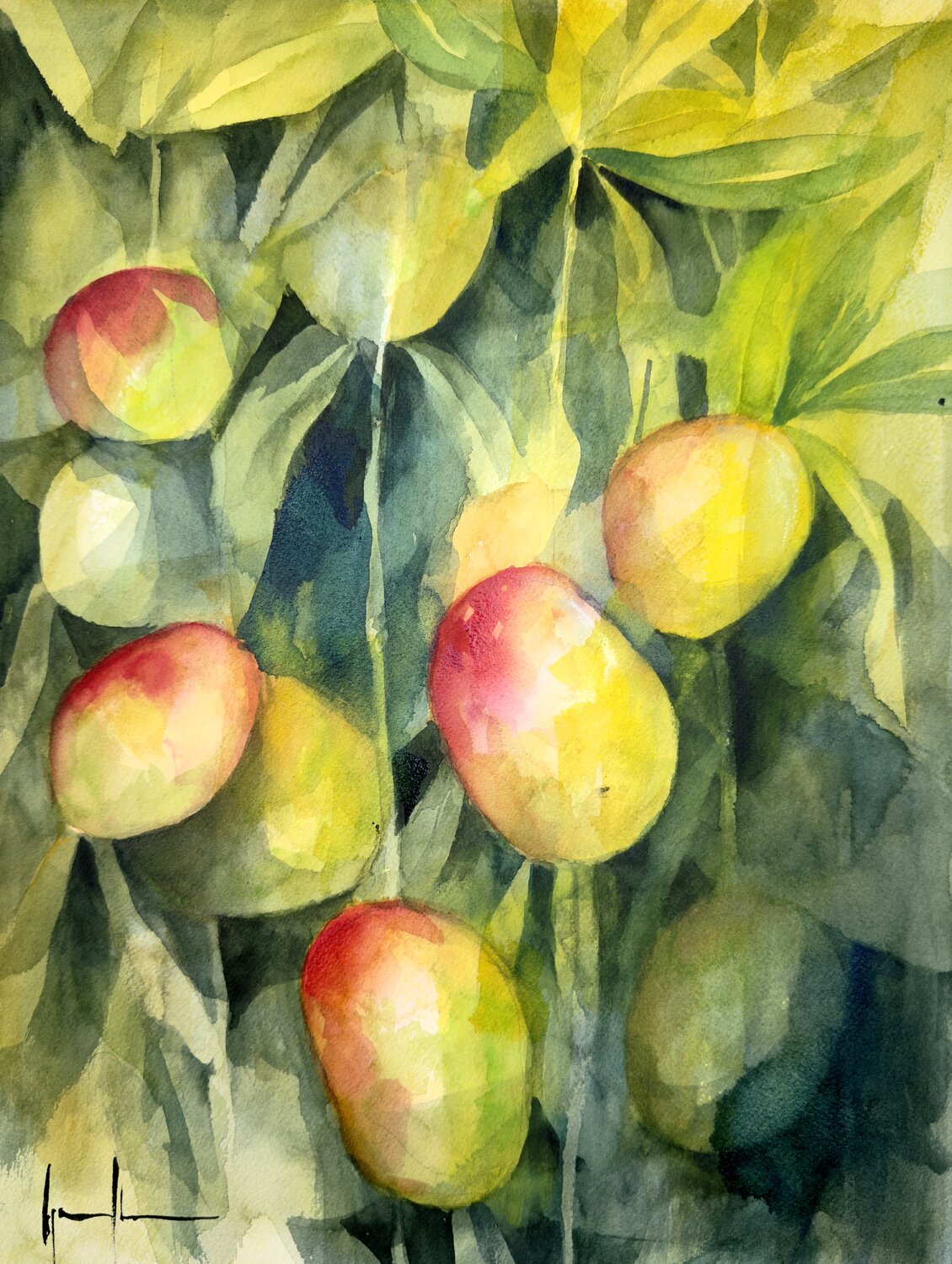 MANGOS Nacho Muñoz Cano