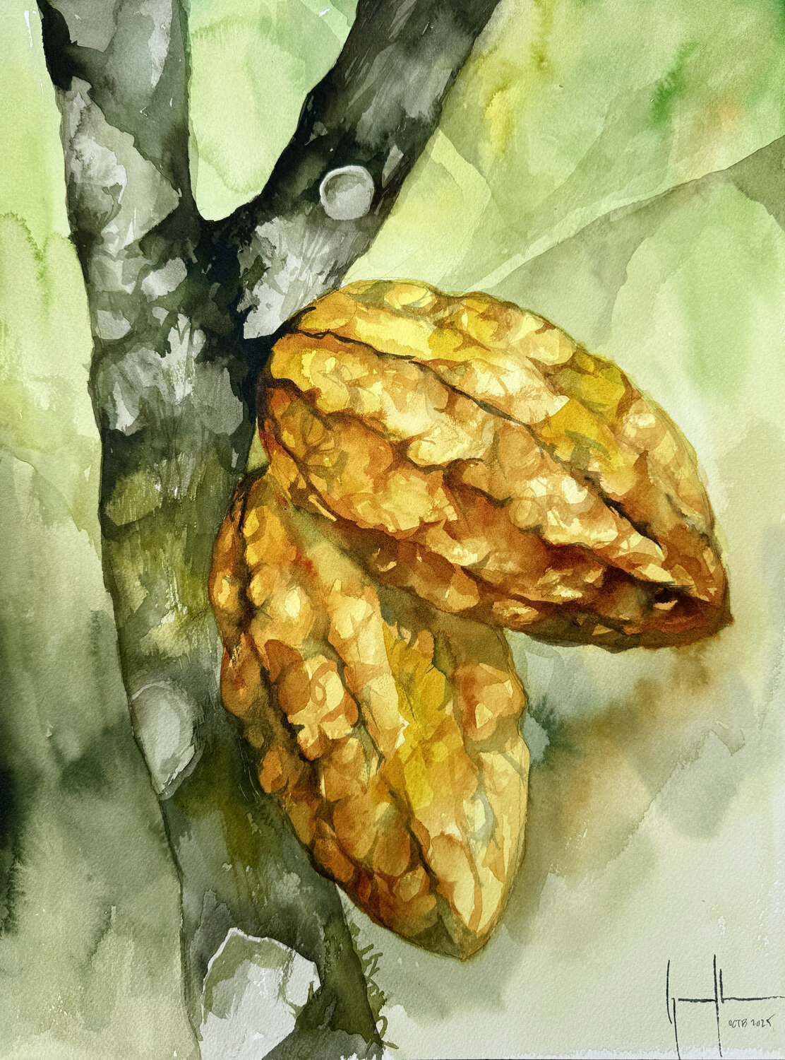 CACAO AMARILLO Nacho Muñoz Cano