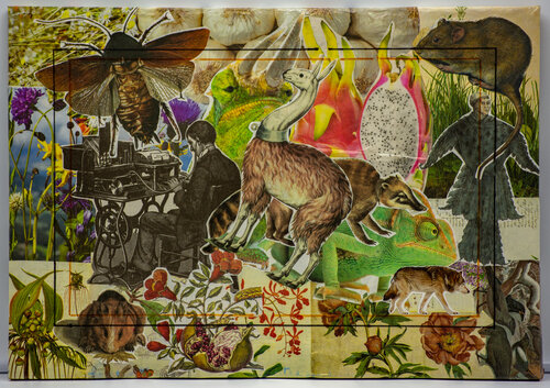 Natura? de Anna Pocher, Obra en papel a la venta en Singulart