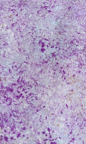 Dream in a Purple Haze von Lucy Moon, Druck kaufen auf Singulart