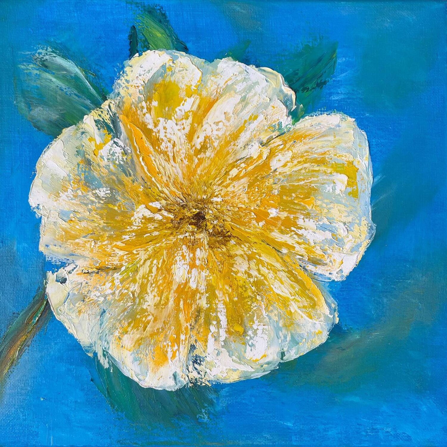 Sunny Orchid of Siam Lucy Moon