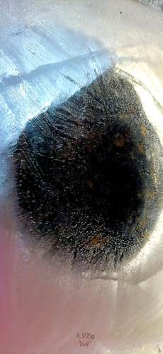 "Volk" di A.V.P.9, Fotografia in vendita su Singulart