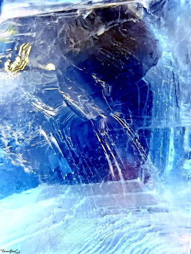 "Carniflore" de A.V.P.9, Fotografía a la venta en Singulart