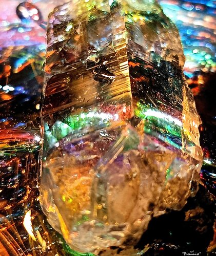 "preaumise" de A.V.P.9, Fotografía a la venta en Singulart