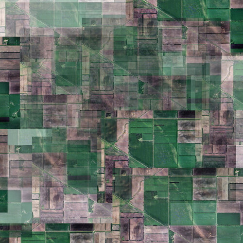 Even If It Looks Like Grass (EIILLG) 1/1 + AP von CHOW and LIN, Druck kaufen auf Singulart