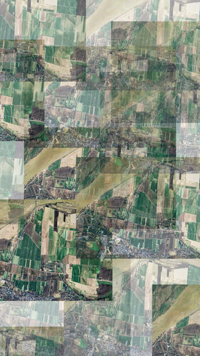 Even If It Looks Like Grass (EIILLG) 1/1 + AP von CHOW and LIN, Druck kaufen auf Singulart