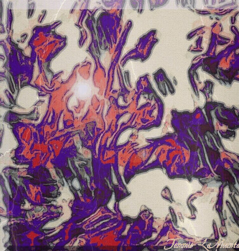 Serendepadox Tammie LaMountain