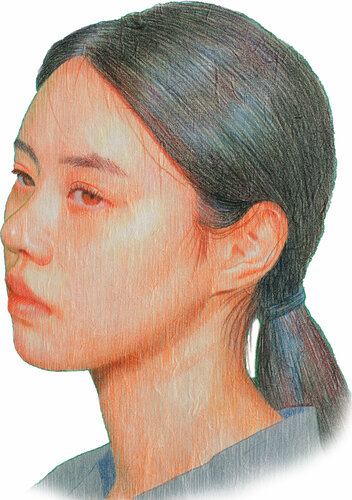 Wolf van Seung Hwan Kim, Werk op papier te koop op Singulart