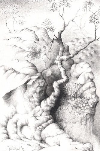 Jehan Calvus