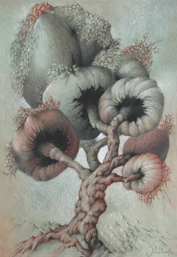 Pilzbaum di Jehan Calvus, Disegno in vendita su Singulart
