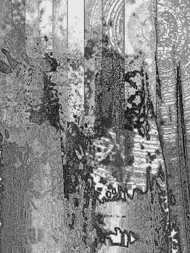 Black & White Vision von JLP, Digital kaufen auf Singulart