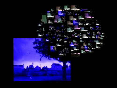 Landscape with Tree van JLP, Digitaal te koop op Singulart