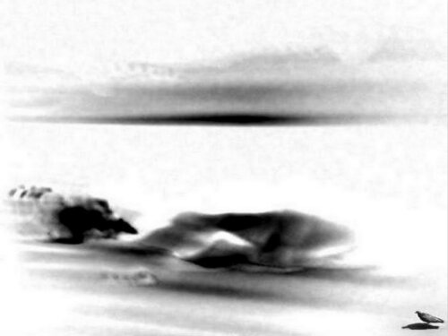 Immaculate Landscape with Pigeon JLP