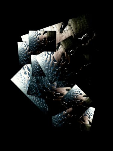 Foam von JLP, Fotografie kaufen auf Singulart