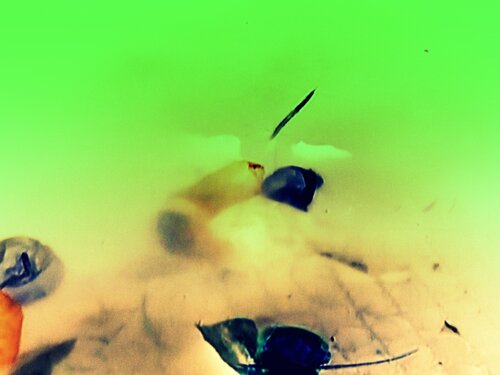 Floating objects JLP