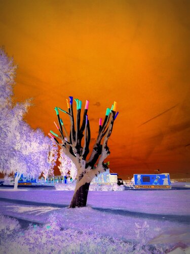 Chatterbox Tree von JLP, Fotografie kaufen auf Singulart