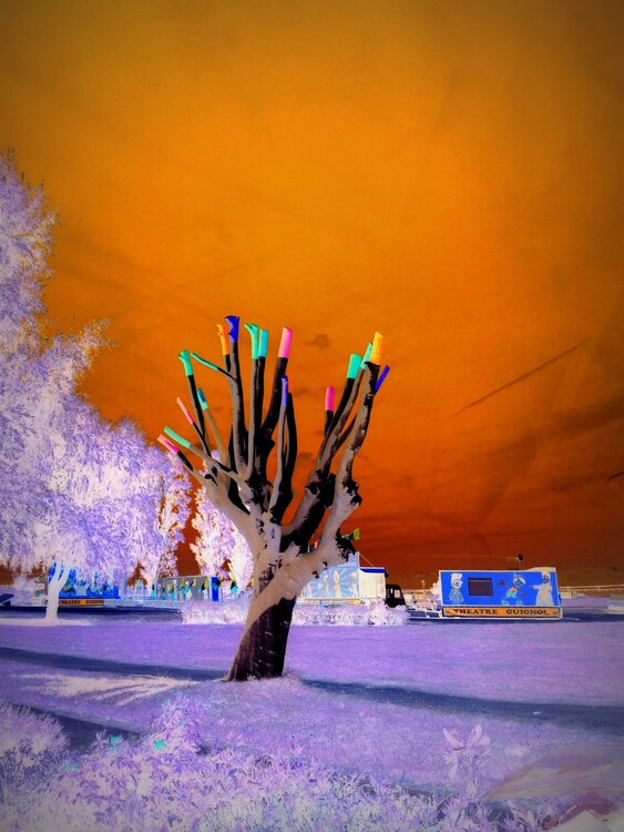 Chatterbox Tree JLP