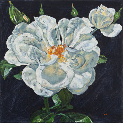 ROSE II - "White beauty" by Victoria Ascanio, Painting for Sale on Singulart