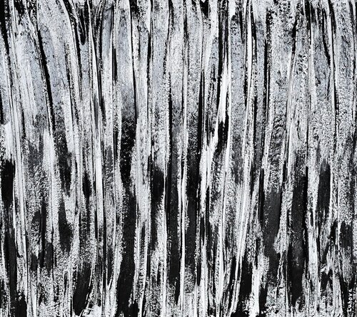 On the Verge of Singularity Daria Luhova