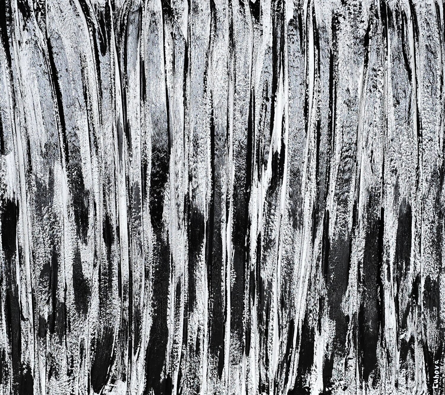 On the Verge of Singularity Daria Luhova