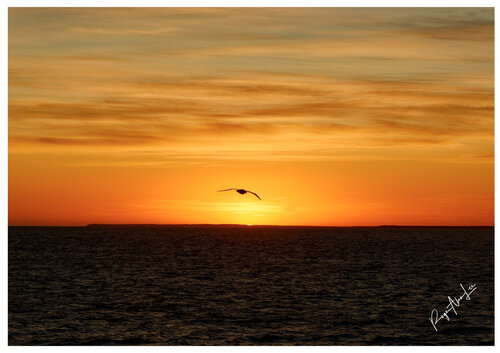 Sunset Flight - Atlantic van Roger Alan Lee, Fotografie te koop op Singulart