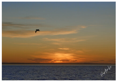 Atlantic Sunset van Roger Alan Lee, Fotografie te koop op Singulart
