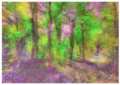 The Woods par Roger Alan Lee, Photographie en vente sur Singulart