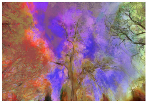 Tree Sky van Roger Alan Lee, Afdruk te koop op Singulart