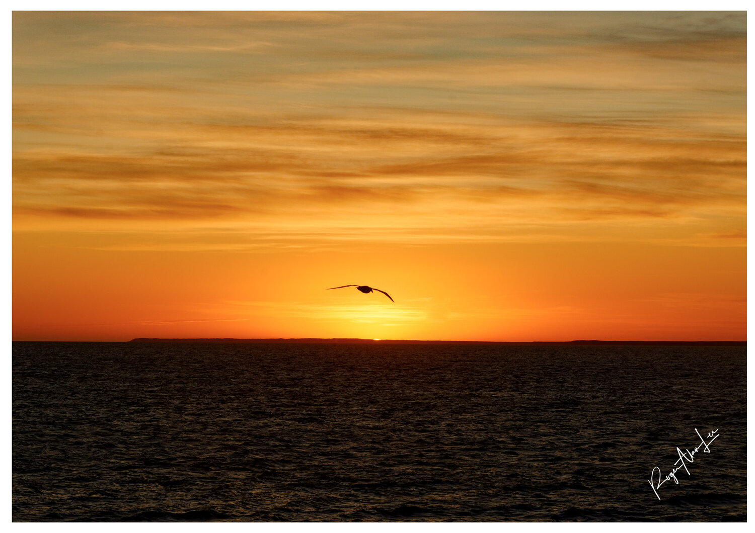Sunset Flight - Atlantic Roger Alan Lee