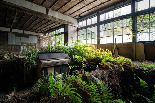 Requiem pour pianos 163 von romain thiery, Fotografie kaufen auf Singulart