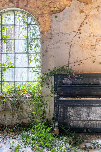 Requiem pour pianos 139 van romain thiery, Fotografie te koop op Singulart