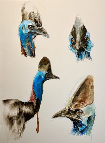 Kasuare di Florentine Kunze-Wolff, Pittura in vendita su Singulart