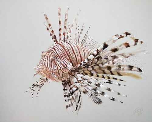 Feuerfisch von Florentine Kunze-Wolff, Malerei kaufen auf Singulart