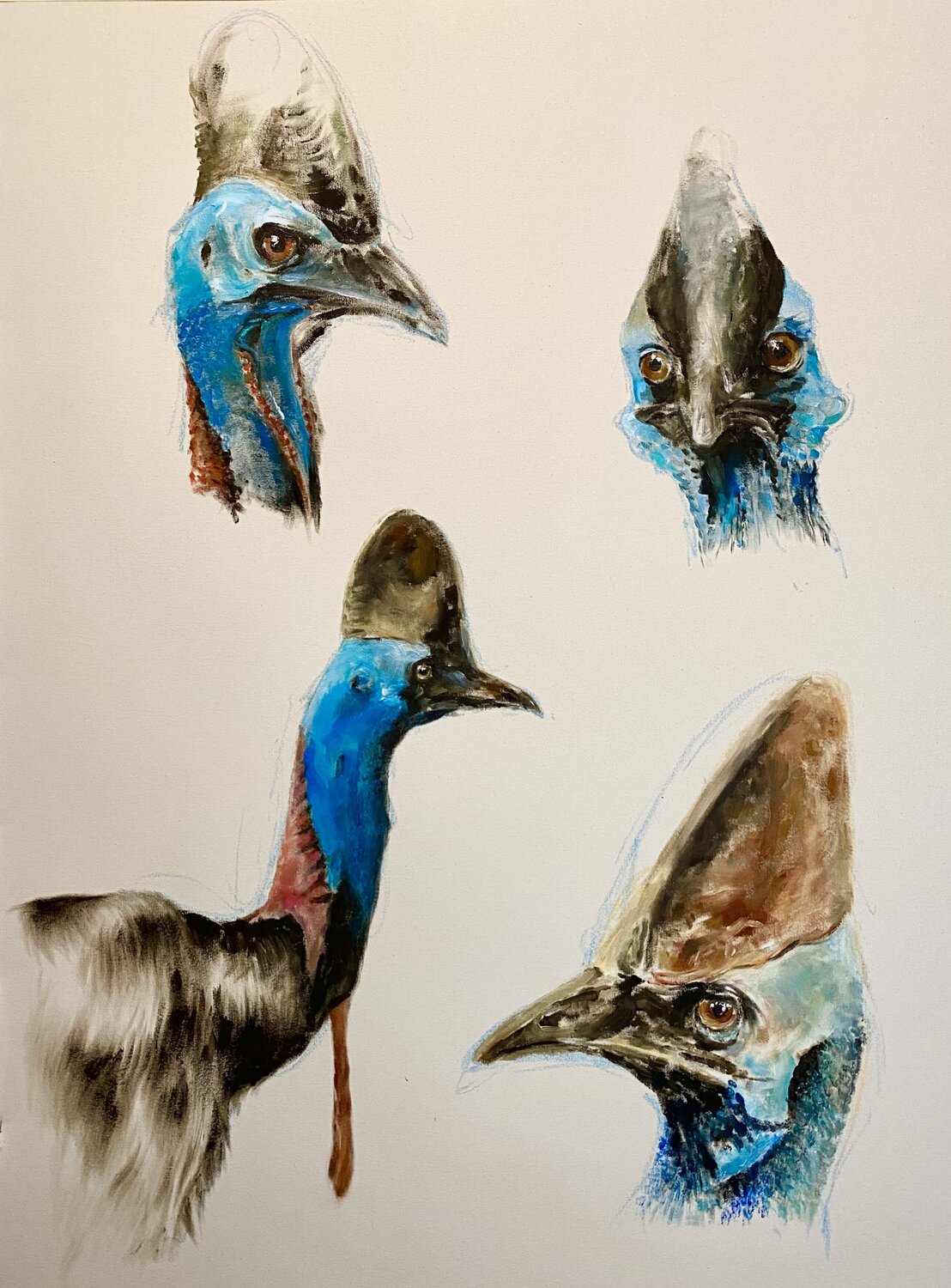 Kasuare Florentine Kunze-Wolff