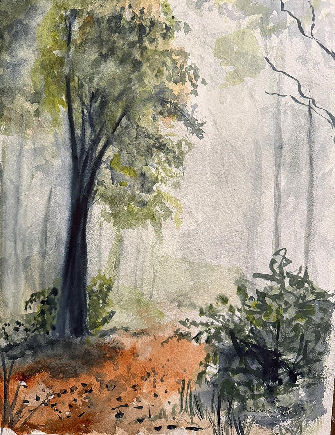 Into the Mists Joanne Joki