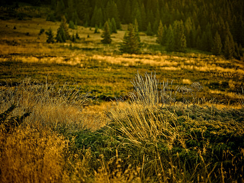 Here and Beyond di Nencho Balkanski, Fotografia in vendita su Singulart