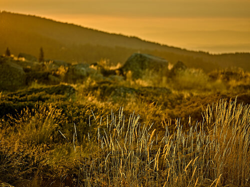 Here and Beyond di Nencho Balkanski, Fotografia in vendita su Singulart