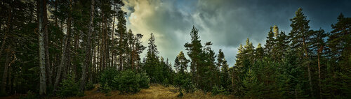 Mountain of Orpheus I di Nencho Balkanski, Fotografia in vendita su Singulart
