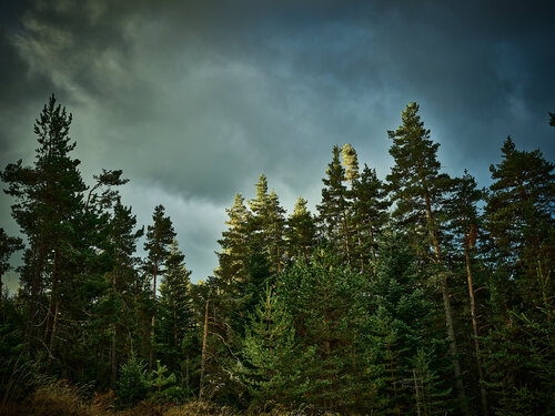 Mountain of Orpheus I di Nencho Balkanski, Fotografia in vendita su Singulart