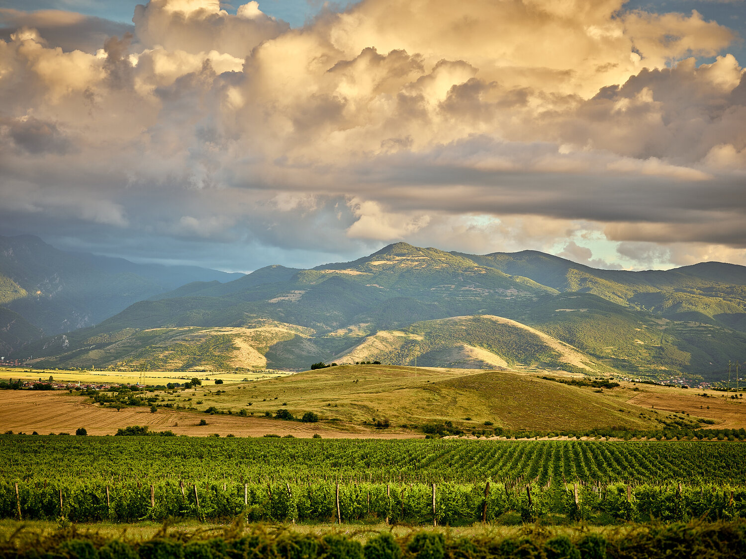 Bessa Valley Nencho Balkanski