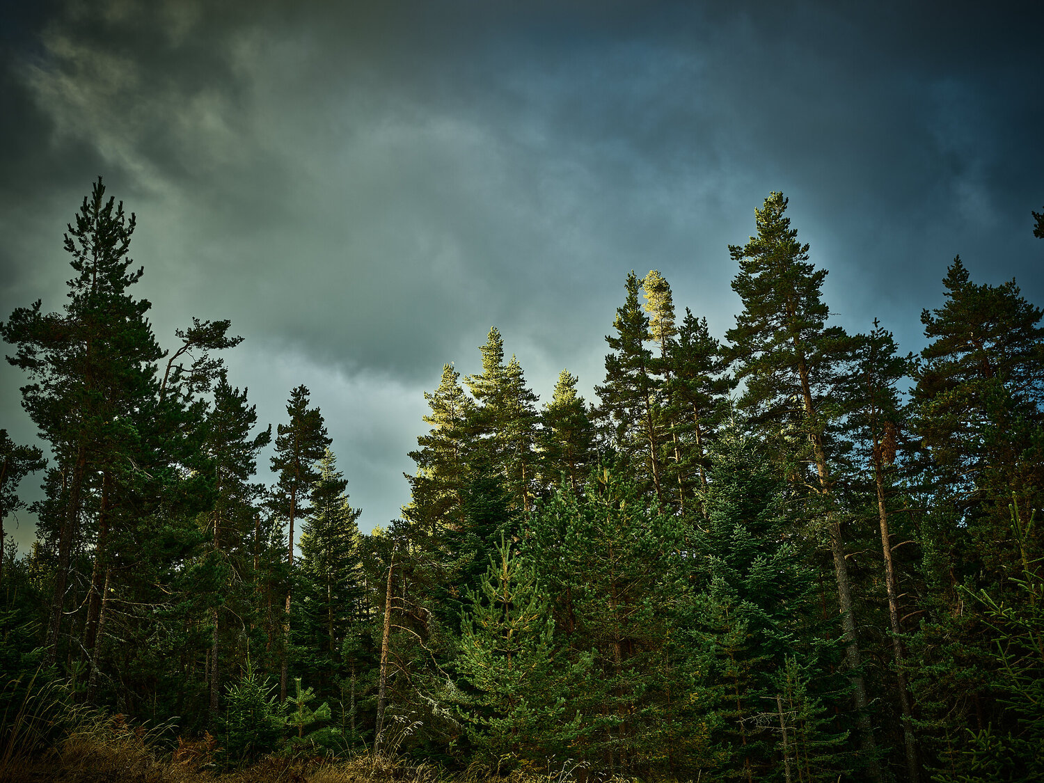 Mountain of Orpheus IV Nencho Balkanski